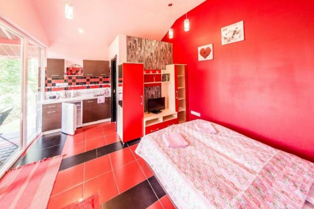 VIP Red Love house for 2 - Photo2
