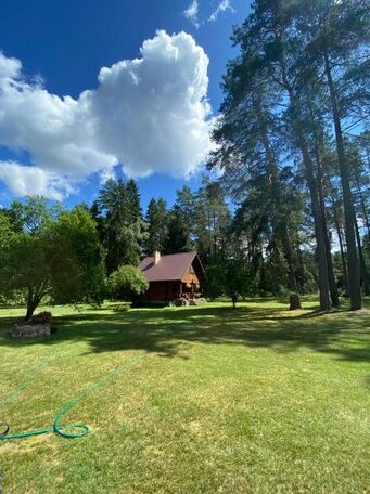 Rojaus Slenis - Photo3