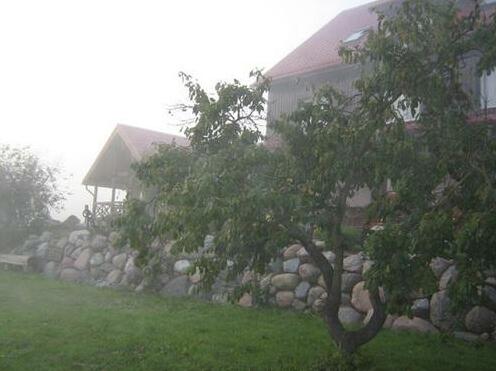 Jurodis - Photo5