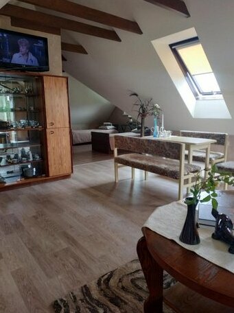 Loft near Klaipeda - Photo4
