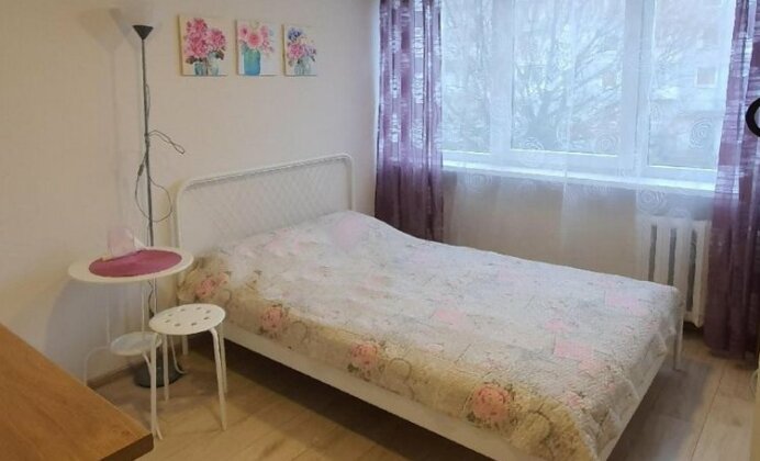Romantic Studio Klaipeda - Photo2