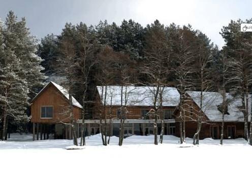 Nakcizibis - Photo3