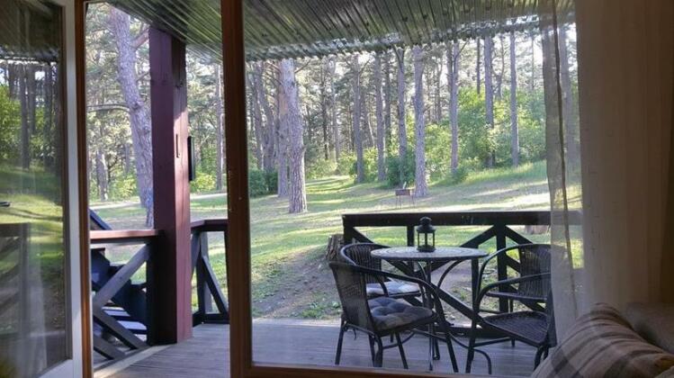 PineHouse - Photo5
