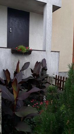 Sauliaus apartamentai - Photo4