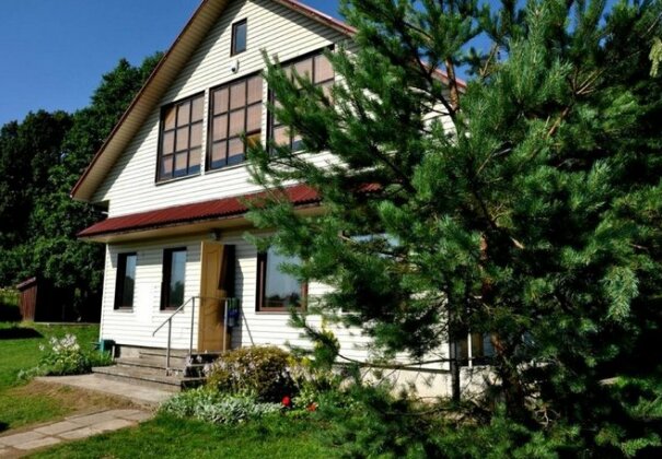 Rojaus kampelis