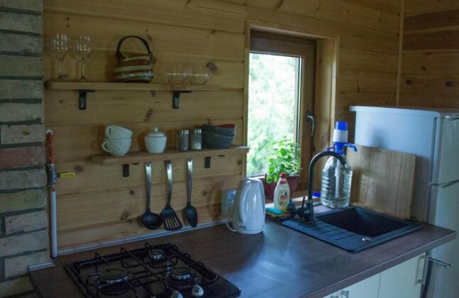 Cozy remote cabin on a lakeshore - Photo4