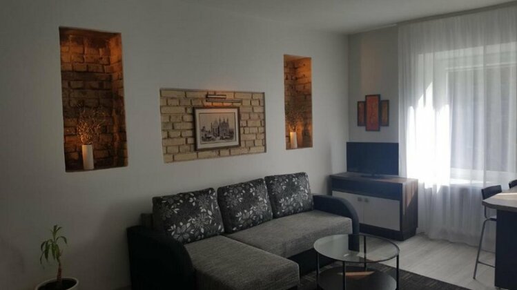 Apartment on Kudirkos 20 - Photo5
