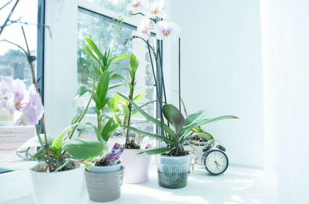 Provence Home - Photo2