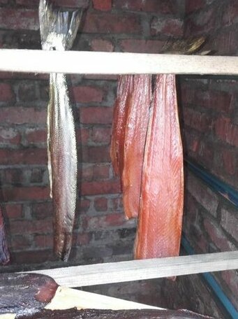 Patari - Photo3