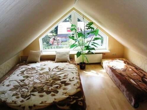 Naiza Guesthouse and Apartments - Photo4