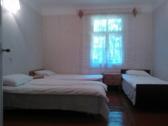 Dzelzcela eka - Photo5