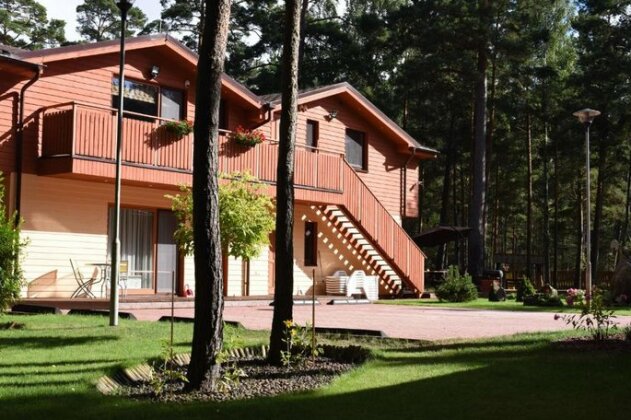 Salkoni