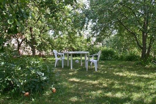 Dana Guest House - Photo4
