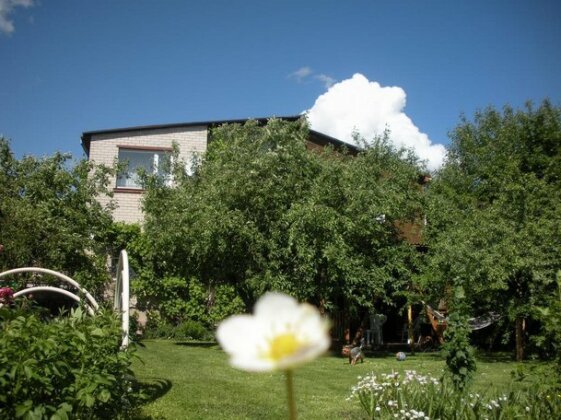 Rasas - Photo3