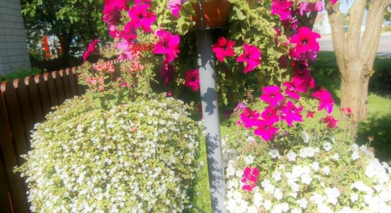 Azaida - Photo5