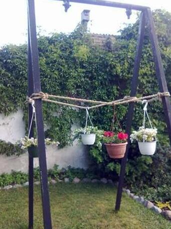 Cerini - Photo4