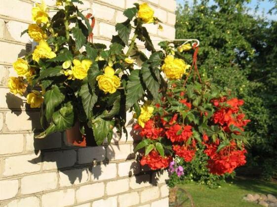 Pulkvedis Guest House - Photo4