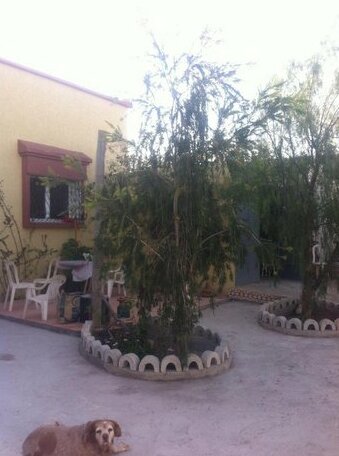 Maison Alix Agadir - Photo3