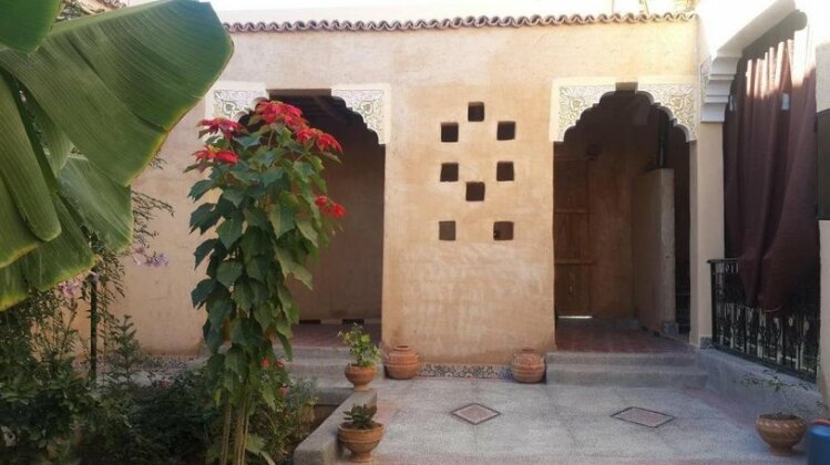 Oasis de Tiout - Photo3