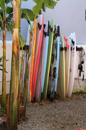 DarelPirata GUEST HOUSE & SURF at Briech Beach - Photo5