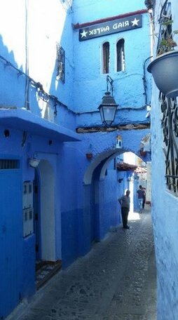 Riad Antek - Photo2
