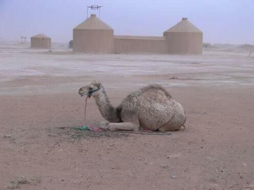 Berber Soul Travels - Photo5