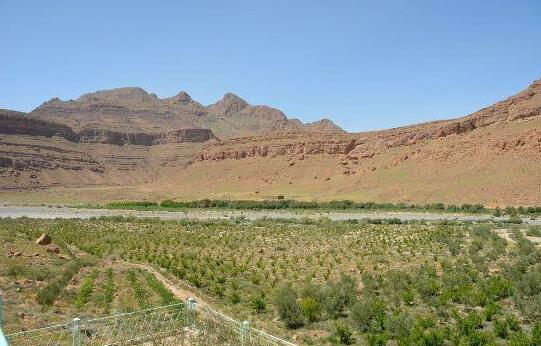 Kasbah Hotel Camping Jurassique - Photo4