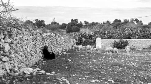 La Ferme/Essaouira - Photo3