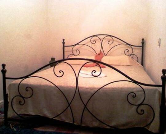 Mogador Location Vacances - Photo2