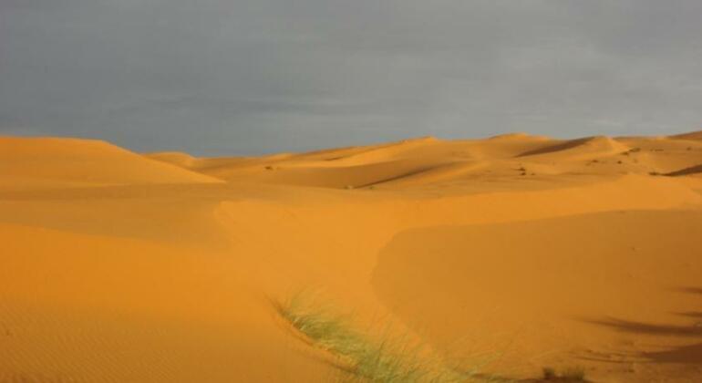 Dar Coram - Photo2
