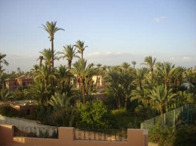 Dar Selwan Wellness & Spa - Photo2