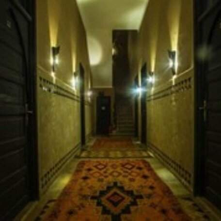 Hotel Toulousain - Photo3