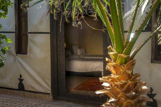 Manzil La Tortue - Photo4