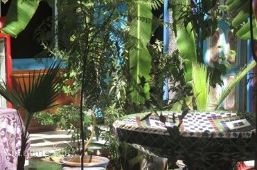 Riad Carol - Photo4