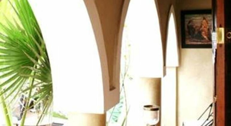 Riad Gioia - Photo2