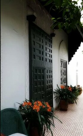 Riad Ifoulki - Photo4
