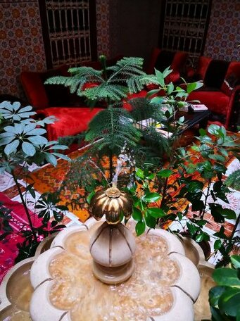 Riad Itry - Hostel - Photo2
