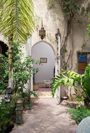Riad Kbour & Chou - Photo4