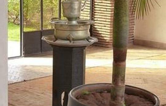Riad L'Oriental - Photo2