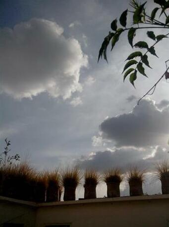 Riad Maiya - Photo2