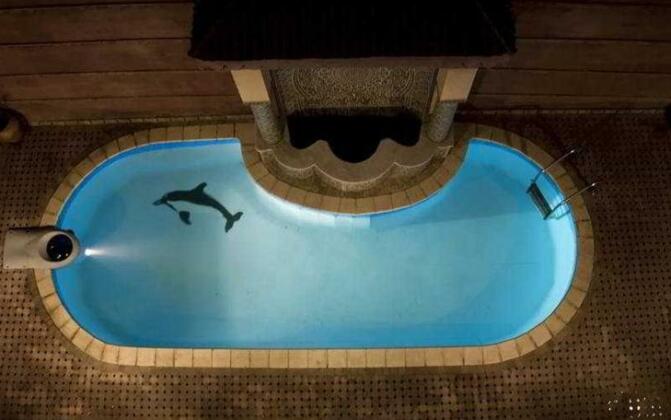 Riad Roukaya - Photo4