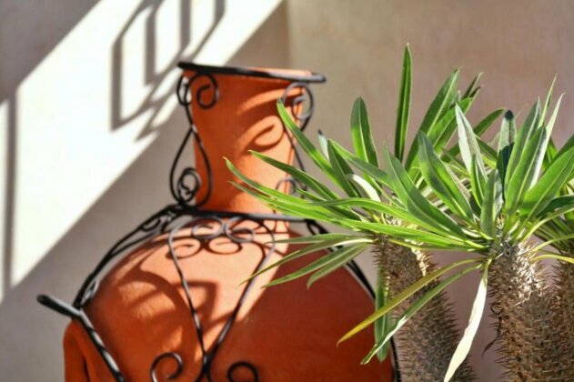 Riad Tidli - Photo5