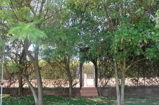 Villa GIMIDIS - Photo4