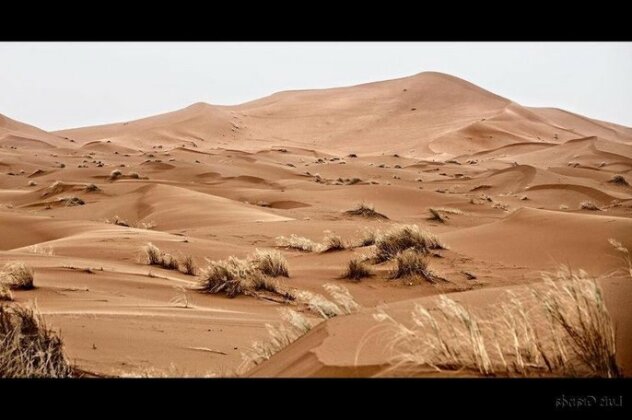Bambara Desert Camps - Photo5
