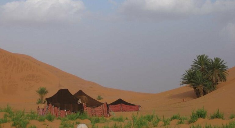 Bivouac les Touareg chez Bachir - Photo5