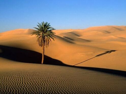 Bivouac Zagora Experience - Photo5