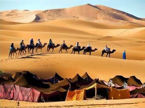 Camel Trek Bivouac - Photo2