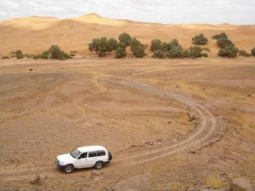 Camel Trek Bivouac - Photo3