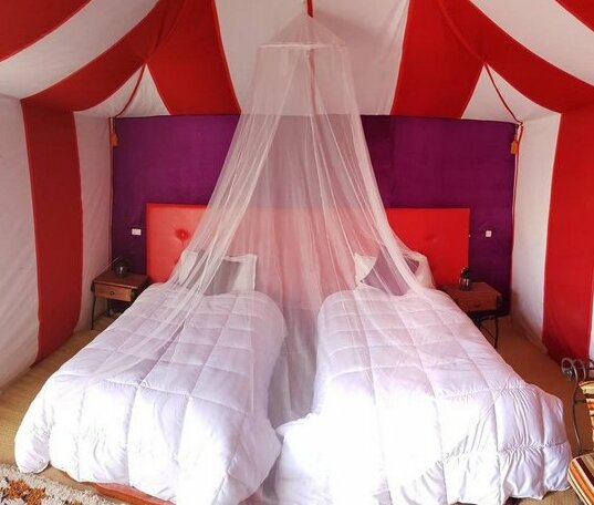 Camel Trekking Company - Photo5