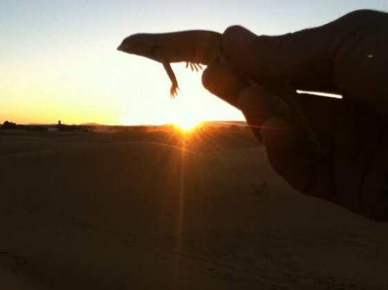 Camel Trekking Sahara Tour - Photo5